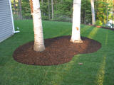 weekly lawn maintenance