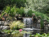 water features